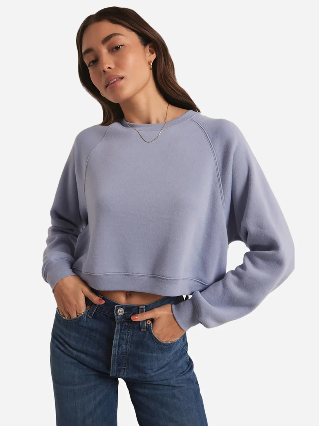 Z Supply Crop Out Stormy Sweatshirt